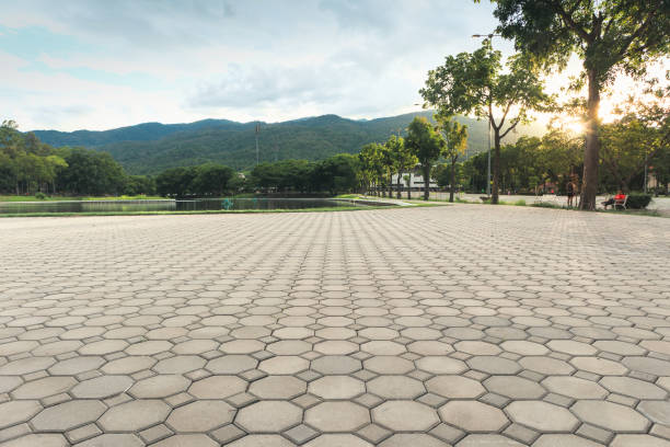 Best Driveway Paving Company  in Goldsboro, NC